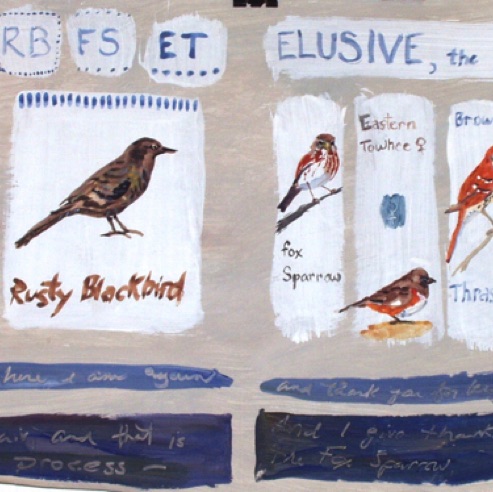 Bird Study, 9 x 12", gesso, tempera
