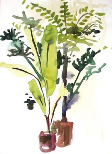 Green House Plants, private collection
